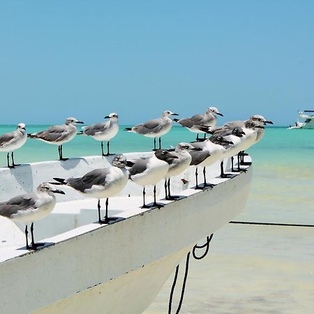 El Corazon Boutique Hotel - Adults Only With Beach Club Pass Included Isla Holbox Екстер'єр фото