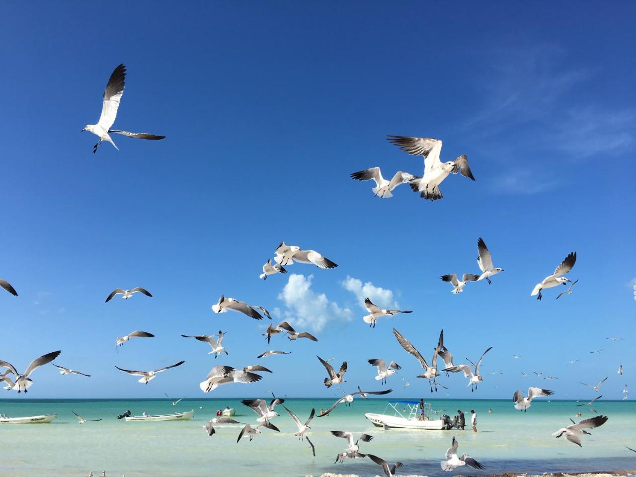 El Corazon Boutique Hotel - Adults Only With Beach Club Pass Included Isla Holbox Екстер'єр фото